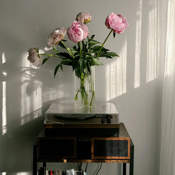 Pink peonies in a glass vase on a record console with window shadows