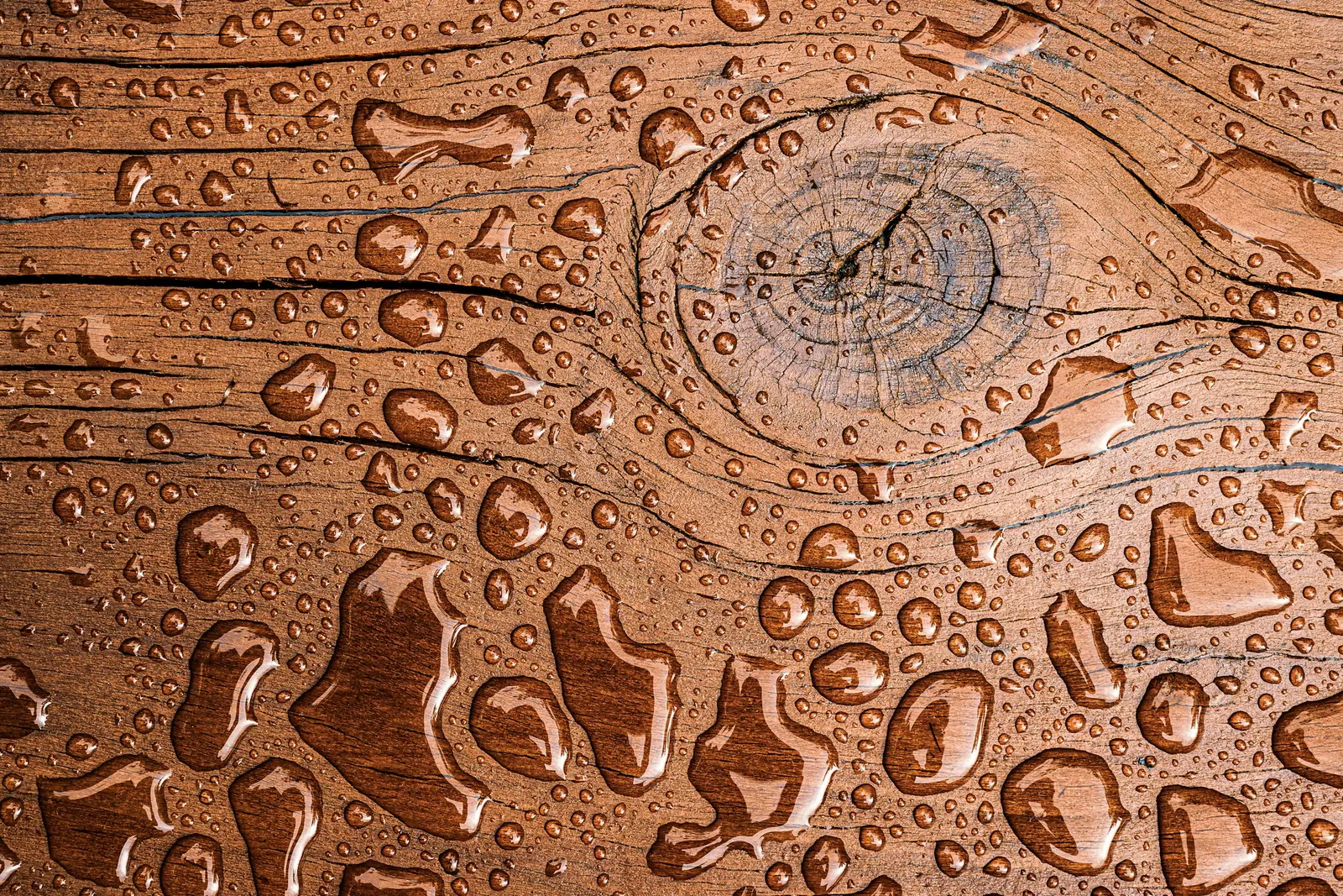 Water droplets beading on an oiled wooden surface