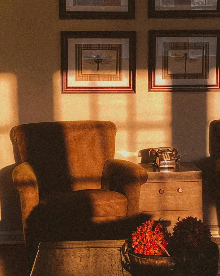 Velvet armchair and wooden chest bathed in warm late-afternoon light